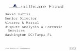Healthcare Fraud David Burris Senior Director Alvarez & Marsal Dispute Analysis & Forensic Services Washington DC/Tampa FL 21st Annual ECI Conference.
