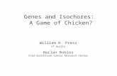 Genes and Isochores: A Game of Chicken? William H. Press UT Austin Harlan Robins Fred Hutchinson Cancer Research Center.