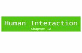 Human Interaction Chapter 12. “Sustainability” is a popular idea these days. What does “sustainability” in the ecosystem mean? What does “sustainability”