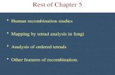 Rest of Chapter 5 Human recombination studies Mapping by tetrad analysis in fungi Analysis of ordered tetrads Other features of recombination.