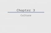 Chapter 3 Culture.  What kinds of things come to mind, when we mention the word “CULTURE?”