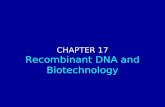 Chapter 17: Recombinant DNA and Biotechnology CHAPTER 17 Recombinant DNA and Biotechnology.