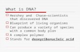 What is DNA?  Hershey and Chase—scientists that discovered DNA  Blueprint of living organisms  Can produce a variety of species with a common body plan.