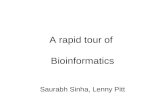 A rapid tour of Bioinformatics Saurabh Sinha, Lenny Pitt.