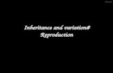 29/08/2015 Inheritance and variation# Reproduction.