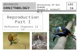 ADVANCED LEC 16 ORNITHOLOGY University of Rio Grande Donald P. Althoff, Ph.D. Reproduction Part I Reference Chapters 12 - 17.