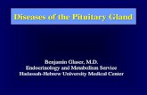 Diseases of the Pituitary Gland Benjamin Glaser, M.D. Endocrinology and Metabolism Service Hadassah-Hebrew University Medical Center.