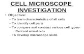 CELL MICROSCOPE INVESTIGATION Objective: –To learn characteristics of all cells –To identify cell parts –To compare and contrast various cell types- Plant.