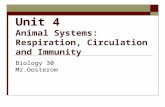 Unit 4 Animal Systems: Respiration, Circulation and Immunity Biology 30 Mr.Oosterom.