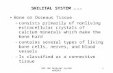 BIO 102 Skeletal System HANDOUT 1 SKELETAL SYSTEM rev 12-12 Bone or Osseous Tissue –consists primarily of nonliving extracellular crystals of calcium minerals.