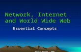 Network, Internet and World Wide Web Essential Concepts Natalia Mosina - 2005 Natalia Mosina - 2005.