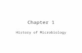 Chapter 1 History of Microbiology. Today’s Class General Information Course Outline Lab and Lab Schedule Chapter #1 Almco’s Fundamentals of Microbiology.