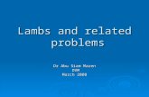 Lambs and related problems Dr Abu Siam Mazen DVM March 2008.