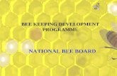 BEE KEEPING DEVELOPMENT PROGRAMME NATIONAL BEE BOARD.