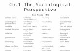 Ch.1 The Sociological Perspective Key Terms (44) common sensesymbolic interactionismvalidityexperiment sociological perspectivefunctional analysisreliabilityexperimental.