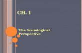 CH. 1 The Sociological Perspective. Sociology: The scientific study of society and human behavior; structure. How Groups Influence People Maintains a.