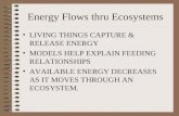 Energy Flows thru Ecosystems LIVING THINGS CAPTURE & RELEASE ENERGY MODELS HELP EXPLAIN FEEDING RELATIONSHIPS AVAILABLE ENERGY DECREASES AS IT MOVES THROUGH.