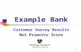 1 Example Bank Customer Survey Results Net Promoter Score.