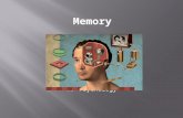 Memory AP Psychology.  Persistence of learning over time via the storage and retrieval of information  Can you remember your first memory? Why do you.