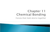 Forces that hold atoms together.  There are several major types of bonds. Ionic, covalent and metallic bonds are the three most common types of bonds.