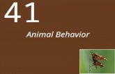 Animal Behavior 41. Chapter 41 Animal Behavior Key Concepts 41.1 Behavior Has Proximate and Ultimate Causes 41.2 Behaviors Can Have Genetic Determinants.