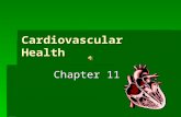 Cardiovascular Health Chapter 11. Test Your Knowledge 1.Women are about as likely to die of cardiovascular disease as they are to die of breast cancer?
