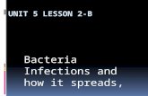 Bacteria Infections and how it spreads,. Key Terms  Infection  Contagious or communicable disease (P)  Local Infection  General Infection  Asymptomatic.
