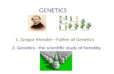 GENETICS 1. Gregor Mendel—Father of Genetics 2. Genetics– the scientific study of heredity.