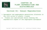 CHAPTER 38 PLANT REPRODUCTION AND BIOTECHNOLOGY Copyright © 2002 Pearson Education, Inc., publishing as Benjamin Cummings Section A1: Sexual Reproduction.