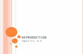 R EPRODUCTION Topics 6.6, 11.4. A SSESSMENT STATEMENTS 6.6.1 Draw and label diagrams of the adult male and female reproductive systems. 6.6.2 Outline.