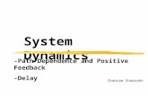 System Dynamics Shahram Shadrokh -Path Dependence and Positive Feedback -Delay.