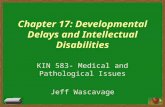 Chapter 17: Developmental Delays and Intellectual Disabilities KIN 583- Medical and Pathological Issues Jeff Wascavage.