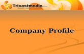 Company Profile. Company Background   Tricast Media was founded to support Picsel’s own R&D as well as other customers and partners.   The company.