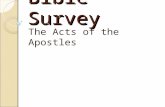 Bible Survey The Acts of the Apostles. Bible Survey - Acts Title: English: The Acts of the Apostles Greek: Pra,xeij avposto,l wn.