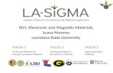 SD1: Electronic and Magnetic Materials Juana Moreno Louisiana State University Multiscale Methods for Strongly Correlated Materials Correlated Organic.