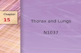 Thorax and Lungs N1037 Chapter 15. A & P of Thorax Thorax Pleura –Parietal = external surface –Visceral = internal surface Mediastinum or interpleural.