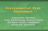 Environmental Risk Assessment Prasartporn Smitamana Plant Biotechnology Research Centre The Royal Project Foundation/ Chiang Mai University.