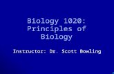 . Biology 1020: Principles of Biology Instructor: Dr. Scott Bowling.