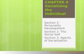 HOLT, RINEHART AND WINSTON CHAPTER 4 Socializing the Individual Section 1: Personality Development Section 2: The Social Self Section 3: Agents of Socialization.