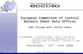 25th June 2008ECCBSO - XBRL filings with Central banks European Committee of Central Balance Sheet Data Offices XBRL filings with central banks Amsterdam,