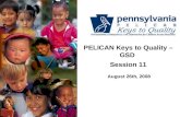 PELICAN Keys to Quality – GSD Session 11 August 26th, 2008.