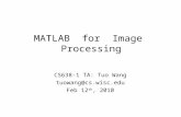 MATLAB for Image Processing CS638-1 TA: Tuo Wang tuowang@cs.wisc.edu Feb 12 th, 2010.