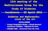 12th meeting of the Mediterranean Group for the Study of Diabetes Casablanca – 29 April 2011 Diabetes and Nephropathy: state of the art Michel MARRE Michel.