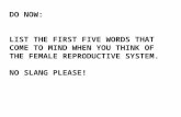 DO NOW: LIST THE FIRST FIVE WORDS THAT COME TO MIND WHEN YOU THINK OF THE FEMALE REPRODUCTIVE SYSTEM. NO SLANG PLEASE!