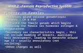 Unit 2 –Female Reproductive System Puberty in Females Pituitary gland release gonadotropic hormones – LH & FSH Pituitary gland release gonadotropic hormones.