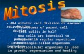 - AKA mitotic cell division or asexual reproduction - Chromosomes of parent cell doubles - Cell splits in half - New cells are identical to parent cells.