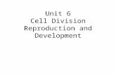 Unit 6 Cell Division Reproduction and Development.