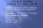 Tissue – group of cells working together to perform a specific function  Histology – the study of tissues  Four groups of tissues:  Epithelial – Table.