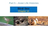 Bird Sex Chapter 14 Part 5 – Avian Life Histories.