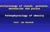 Patofyziology of lipids, proteins, aminoacids and purins Pathophysiology of obesity Prof. Jan Hanacek.